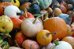 pumpkins in the trailer