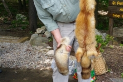 Steve Fish with fox pelt