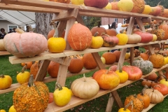 20181006_091751